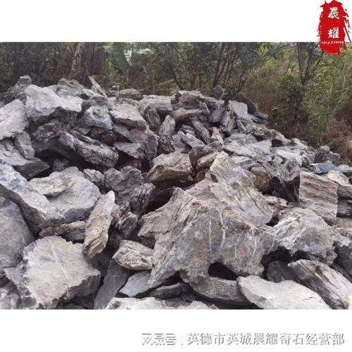 英德的文化瑰寶 英石假山與其產地探秘